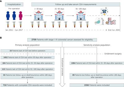 Association Between Serum Carcinoembryonic Antigen Levels at Different Perioperative Time Points and Colorectal Cancer Outcomes